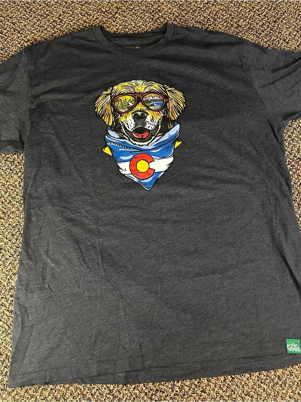 Charcoal Graphic Dog Tee with Yellow and Blue